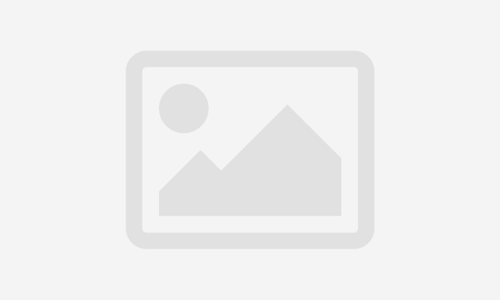 FestiSquad E-Learning